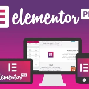 Elementor Pro