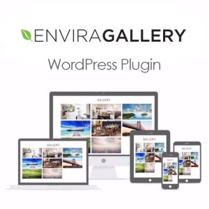 Envira Gallery Plugin