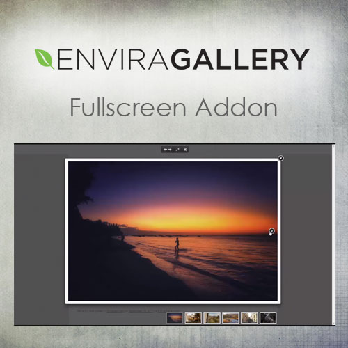 Envira Gallery Fullscreen Addon