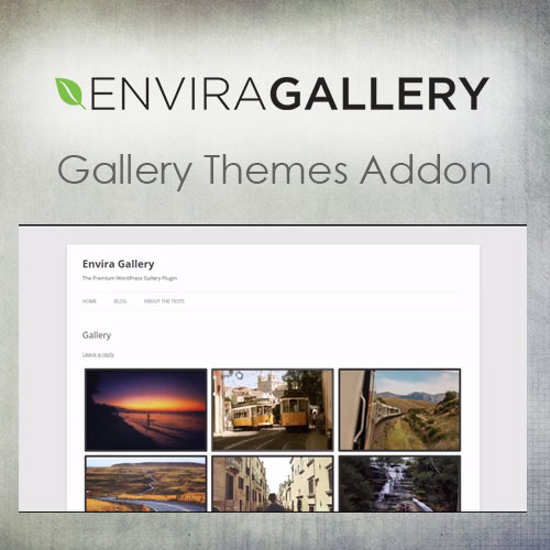 Envira Gallery Gallery Themes Addon