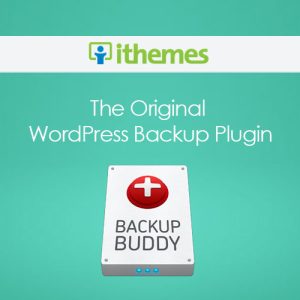 iThemes BackupBuddy